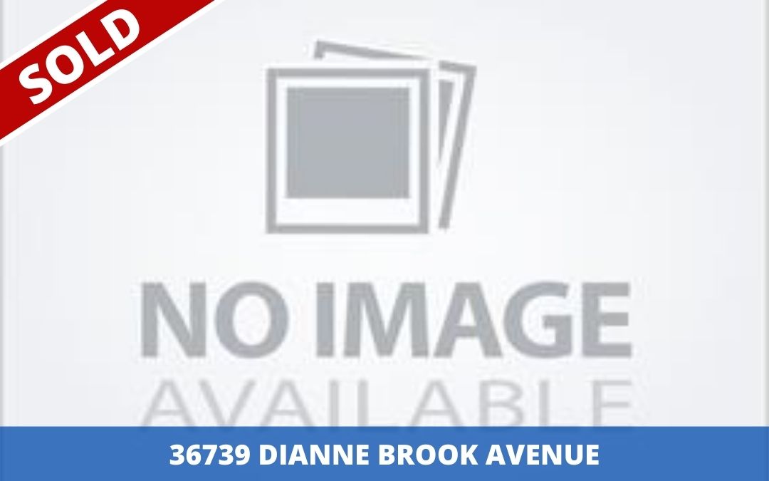 Sold: 36739 Dianne Brook Avenue